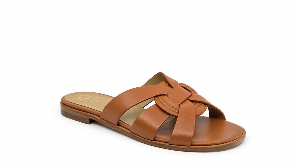 Rosanna Tan Slides