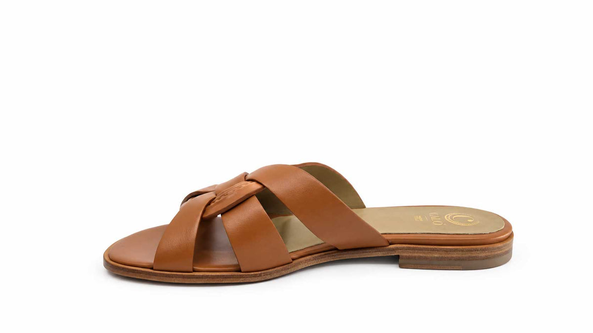 Rosanna Tan Slides