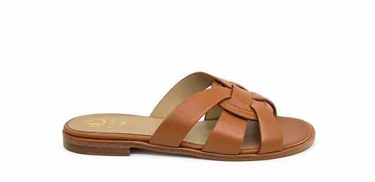 Rosanna Tan Slides